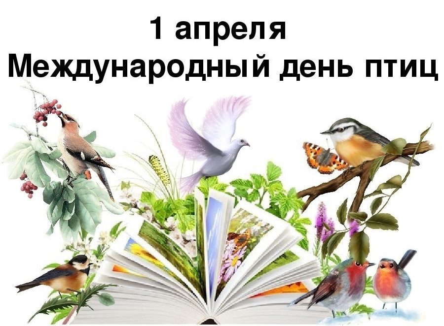 1-апреля-Международный-день-птиц-.jpg